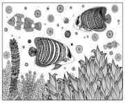 adulte zentangle poisson sabrina  dessin à colorier